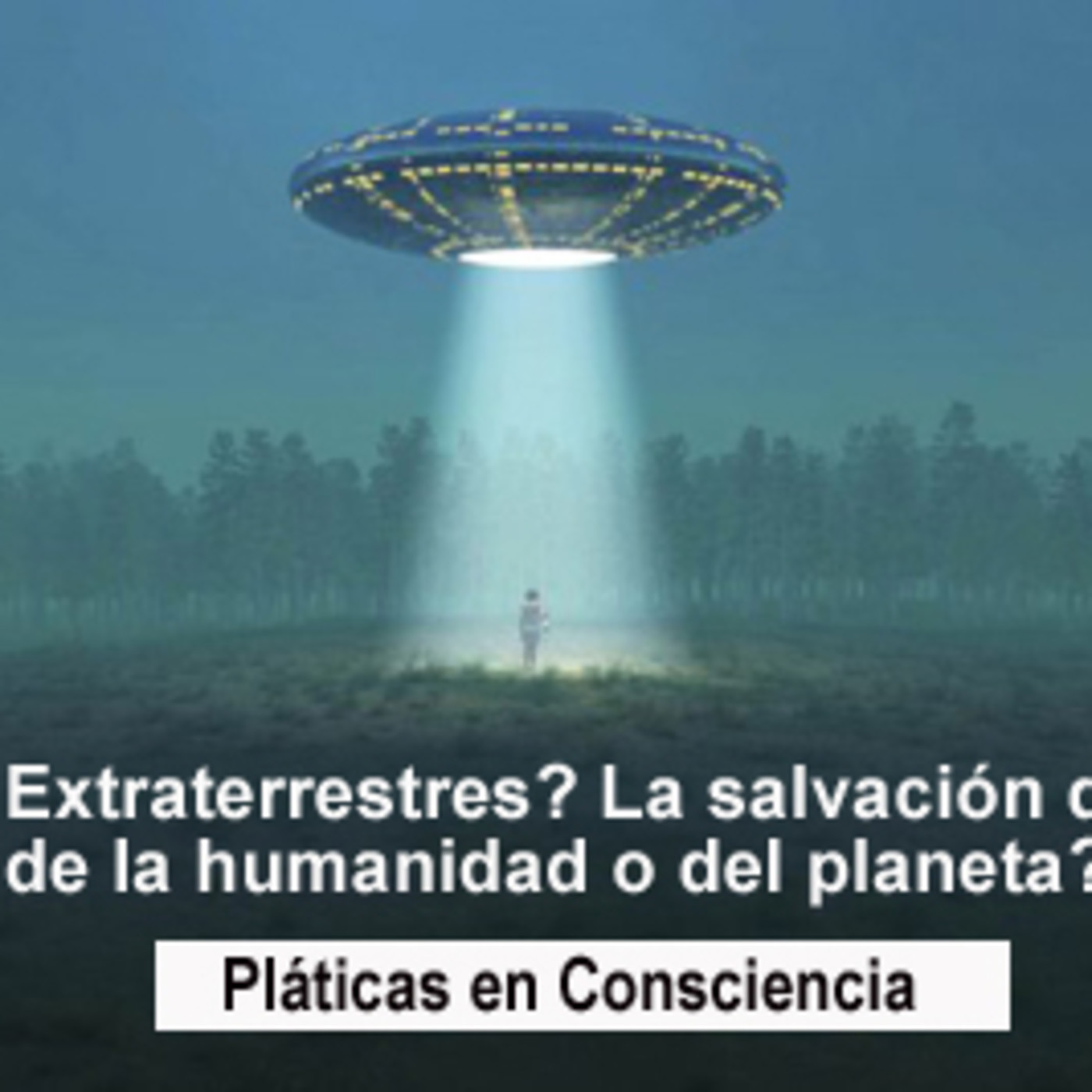 Pláticas en consciencia
