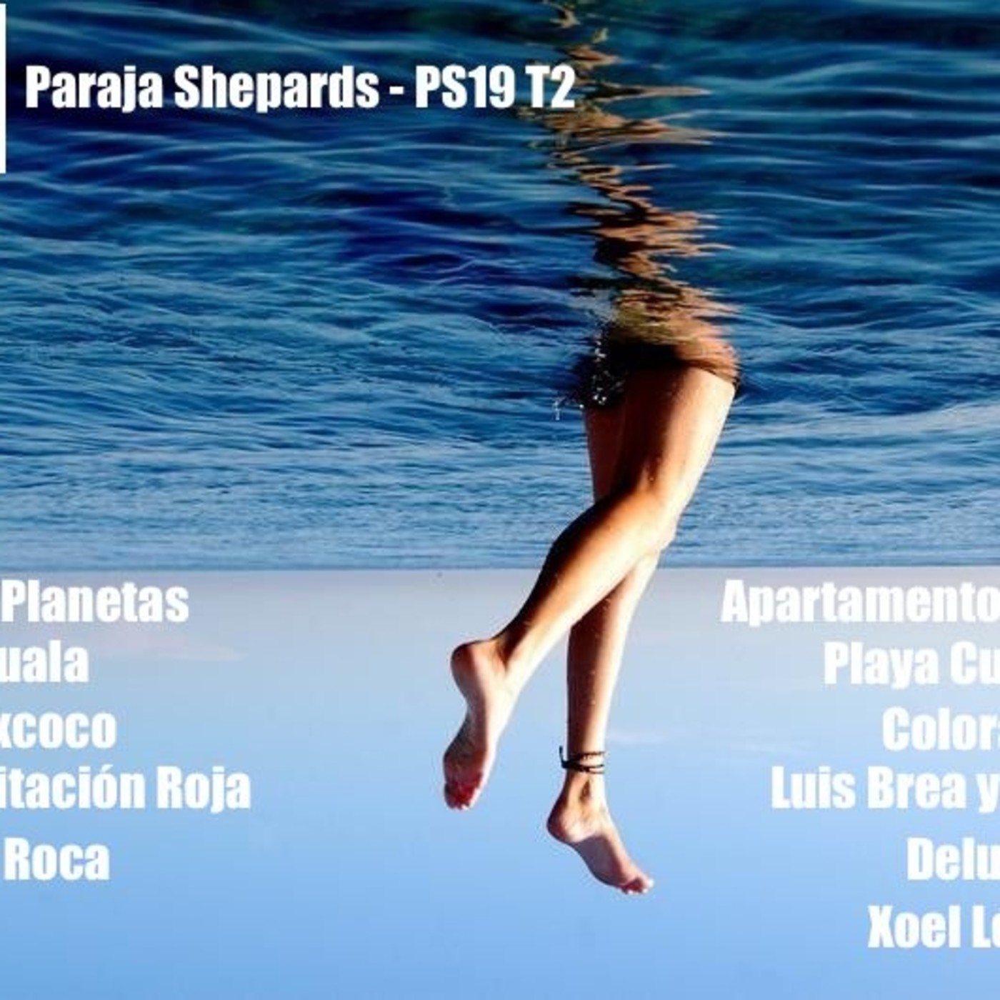 Paradoja Shepards