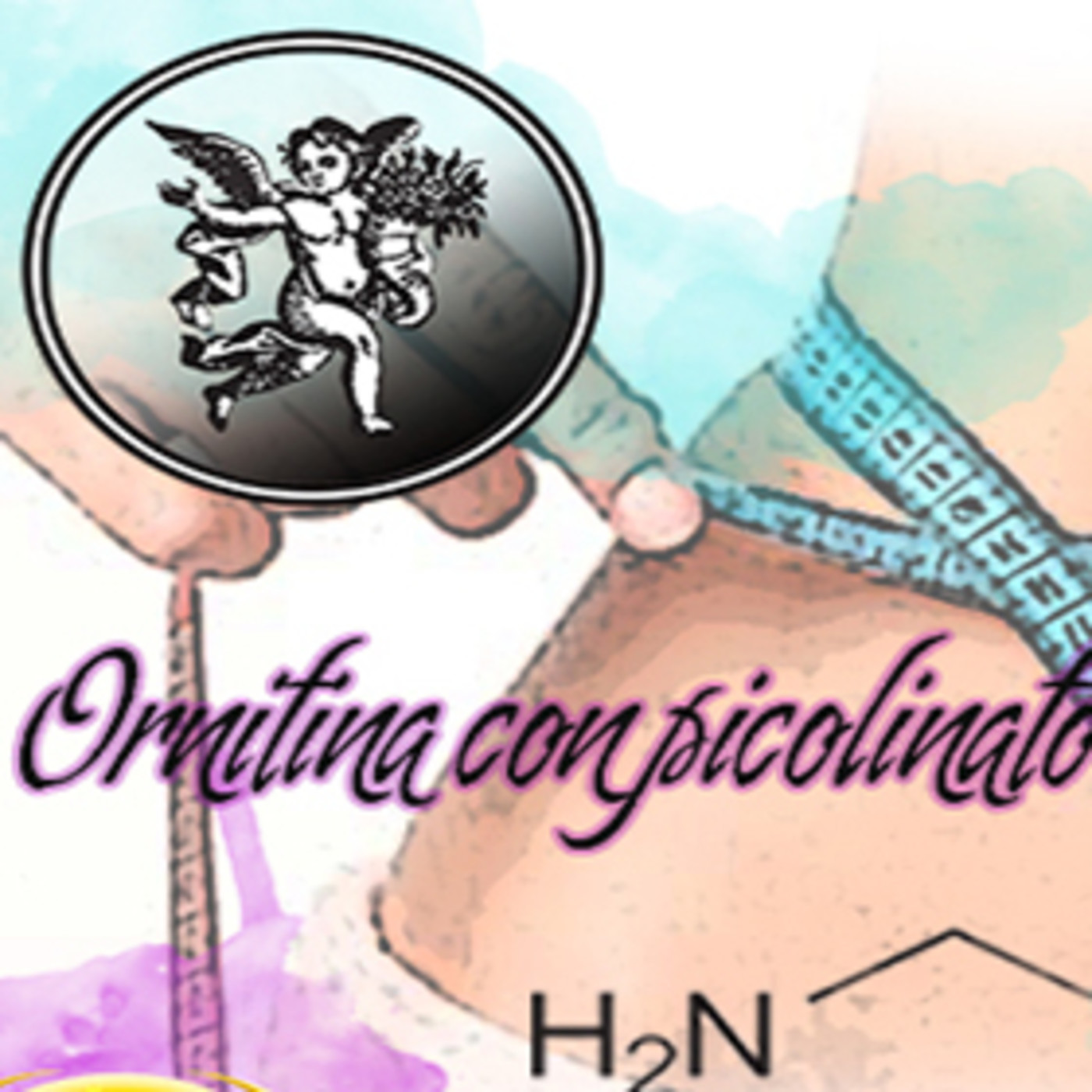 El Angel de tu Salud - ORNITINA CON PICOLINATO DE CROMO episode artwork
