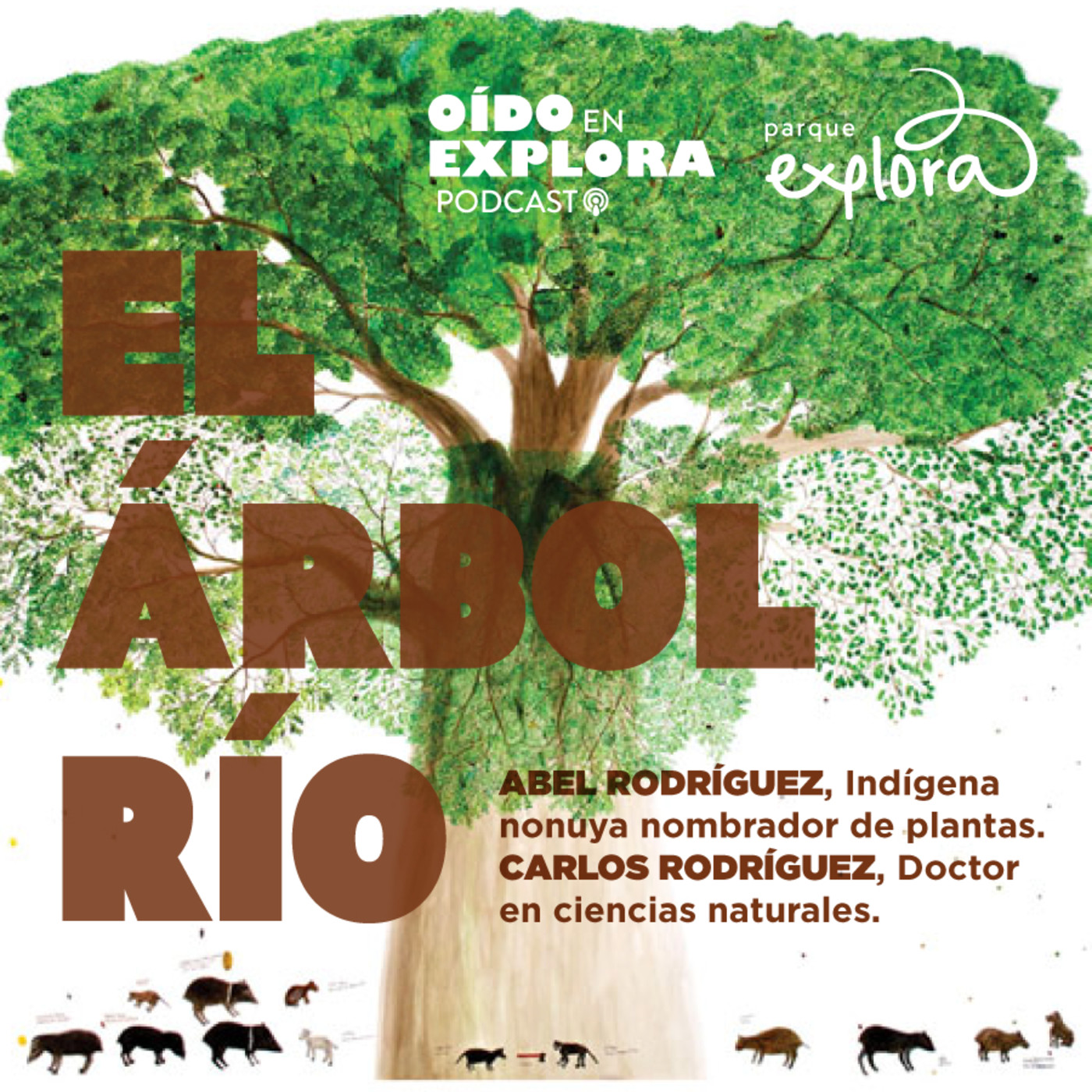 Parque Explora