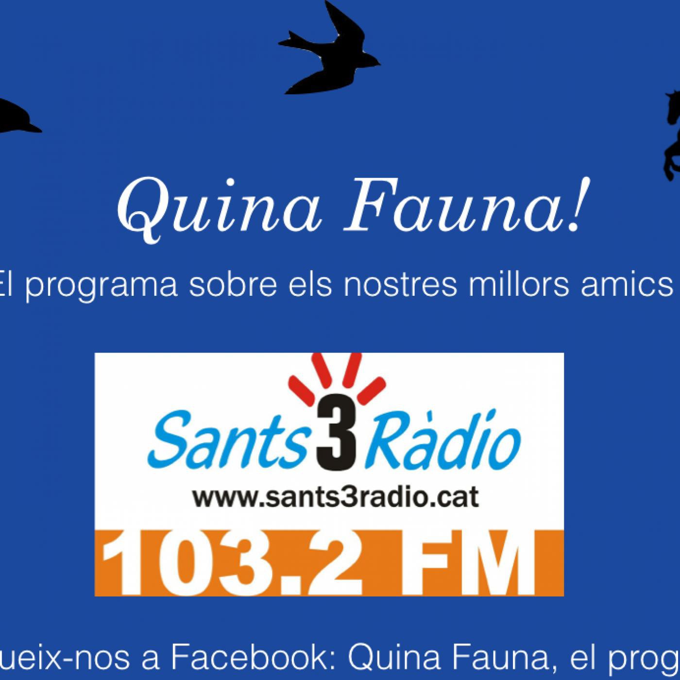 Quina Fauna