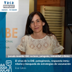 El virus de la EHE: patogénesis, respuesta inmunitaria y búsqueda de estrategias de vacunación | Eva Calvo