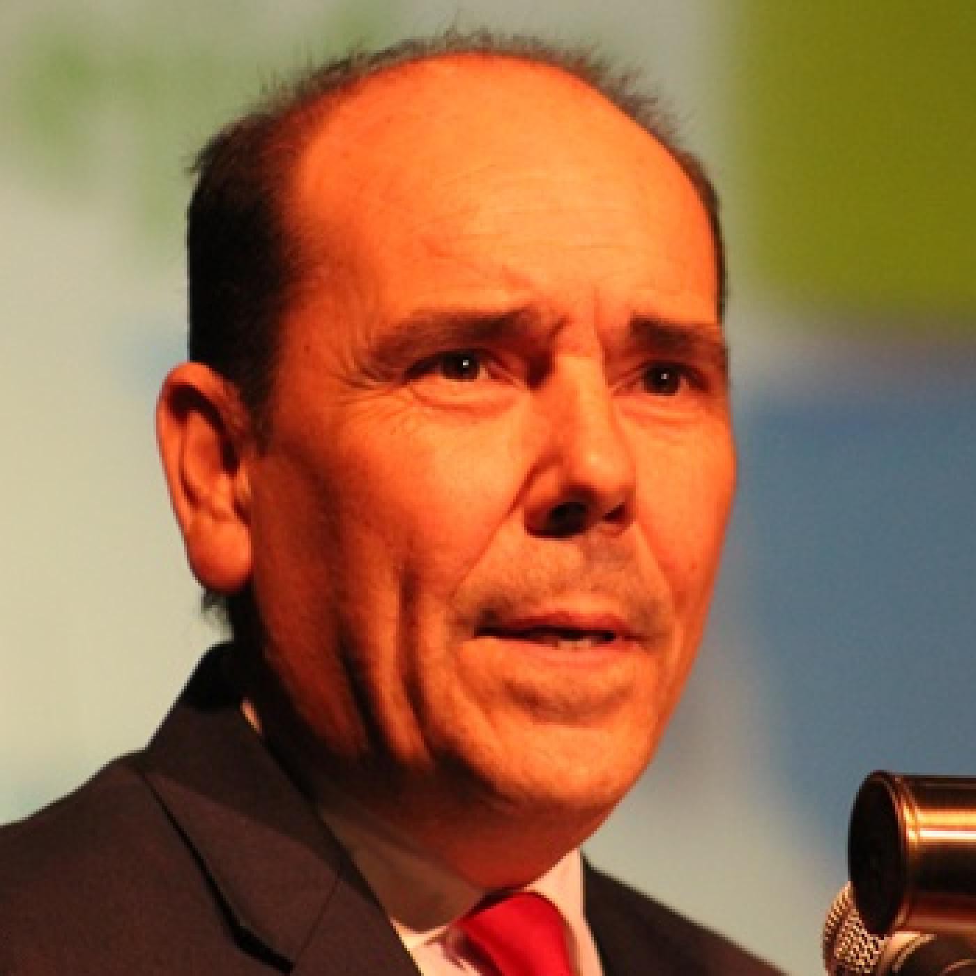 Francisco Javier Teruel Ales