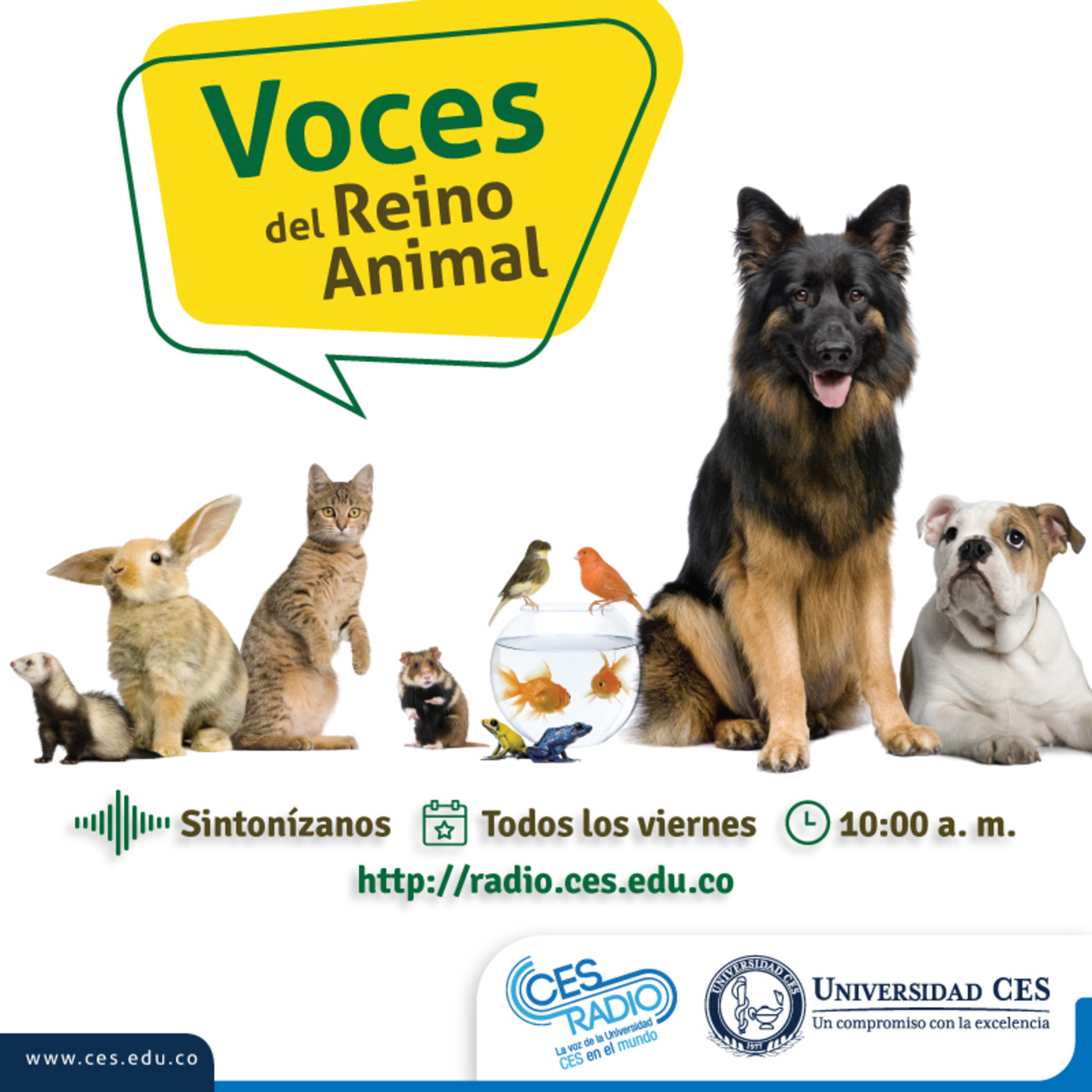 Voces del reino animal