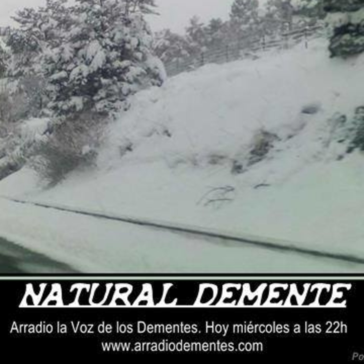 NATURAL DEMENTE