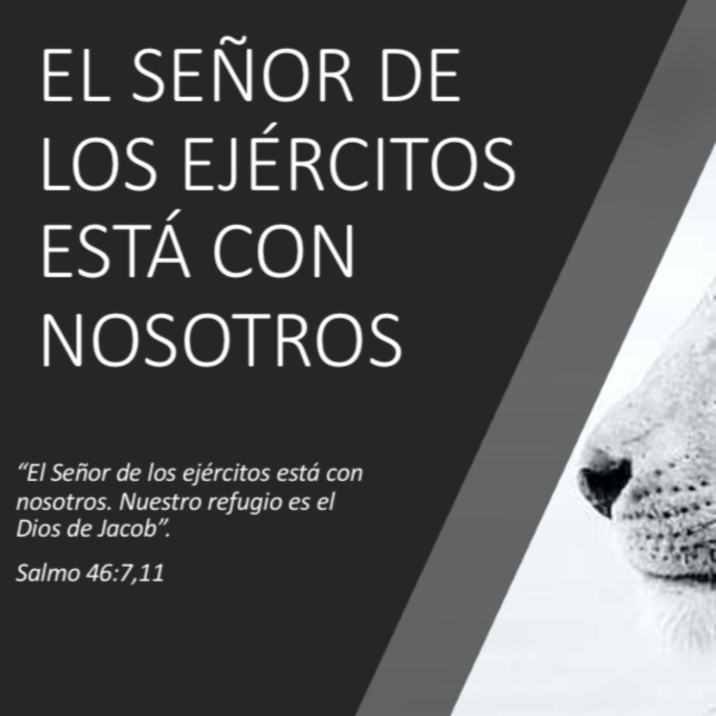 El Señor de los ejércitos está con nosotros