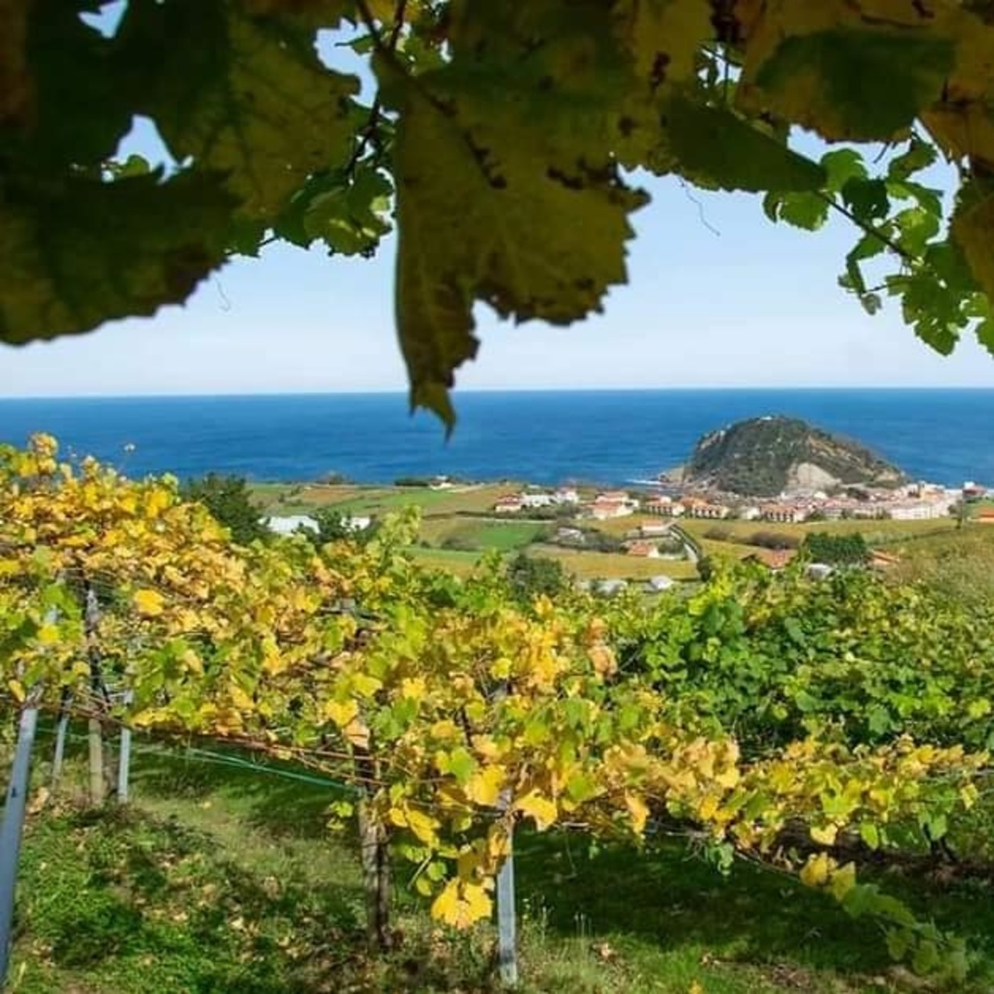 Txakoli de Getaria con Míkel Chueca de Bodegas Etxániz - De Donosti al Cielo 139