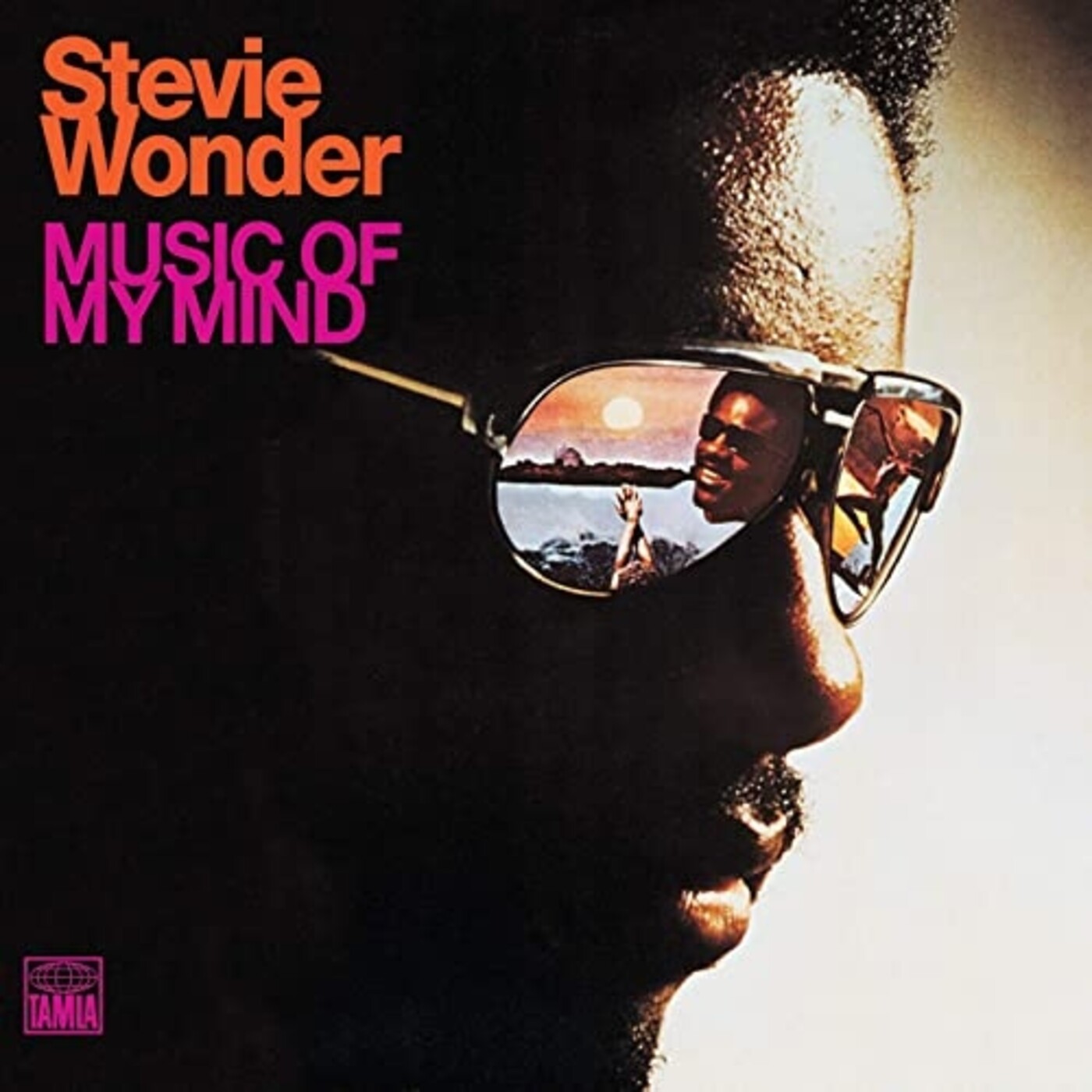 Escuchate Esto! episodio 49 / Stevie Wonder - Music of my mind episode artwork