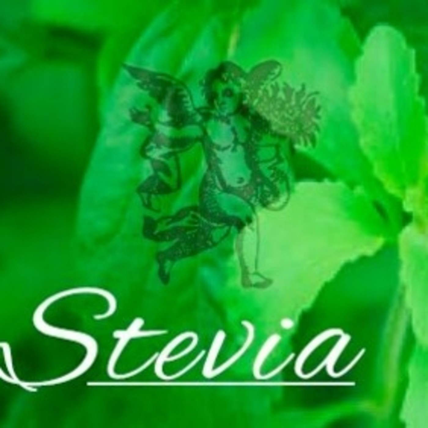 El Ángel de tu Salud - STEVIA episode artwork
