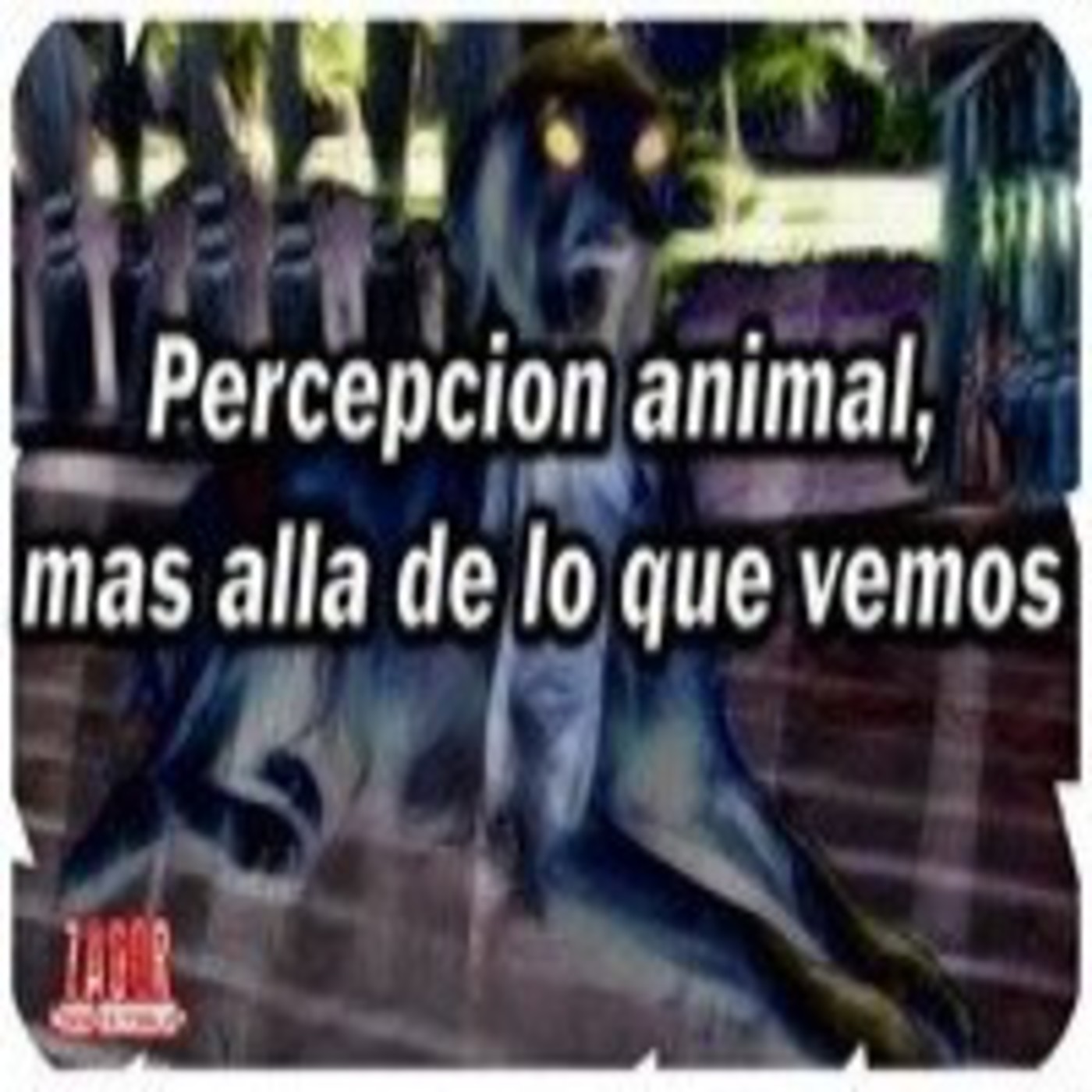 Trazador de Pesadillas Podcast