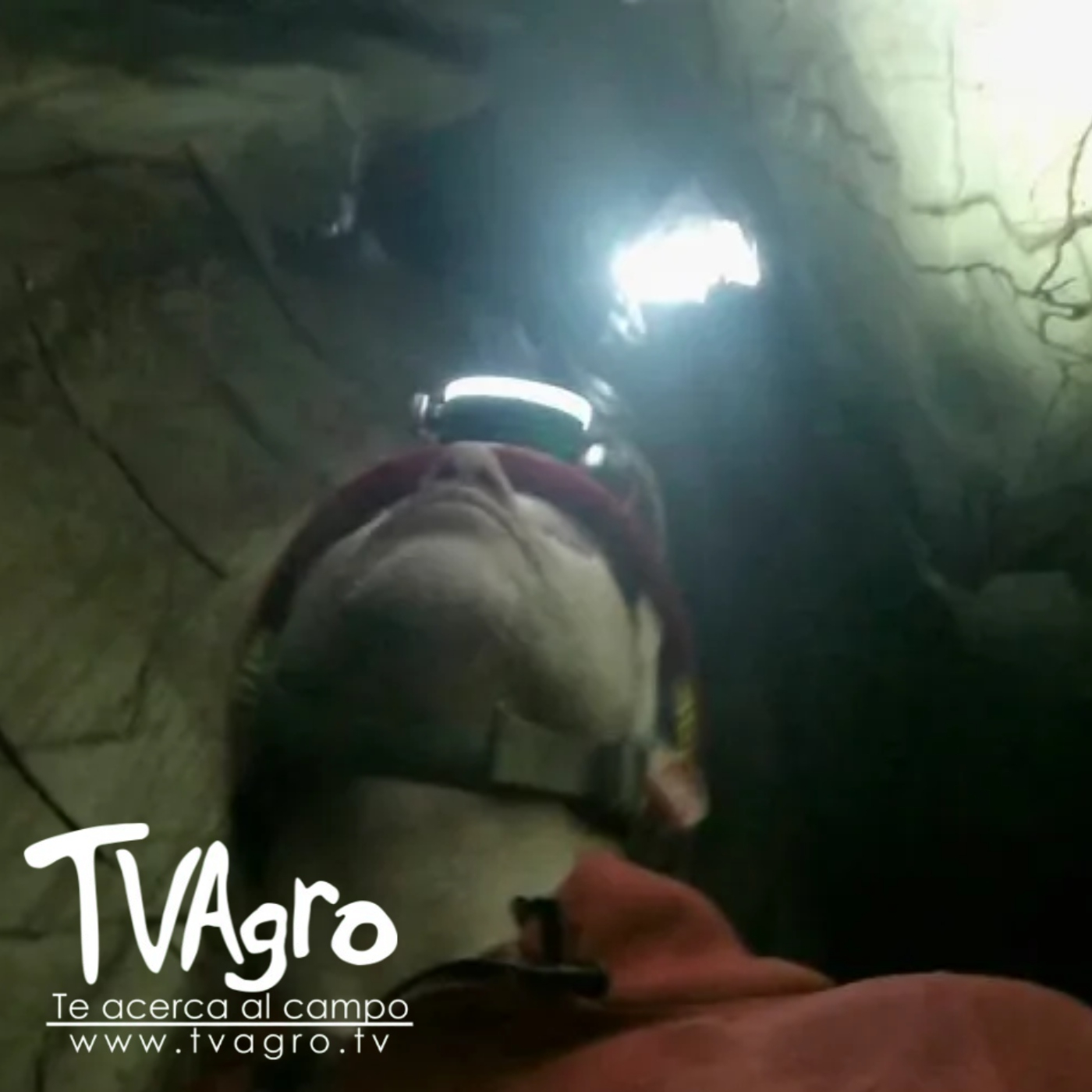 TV AGRO
