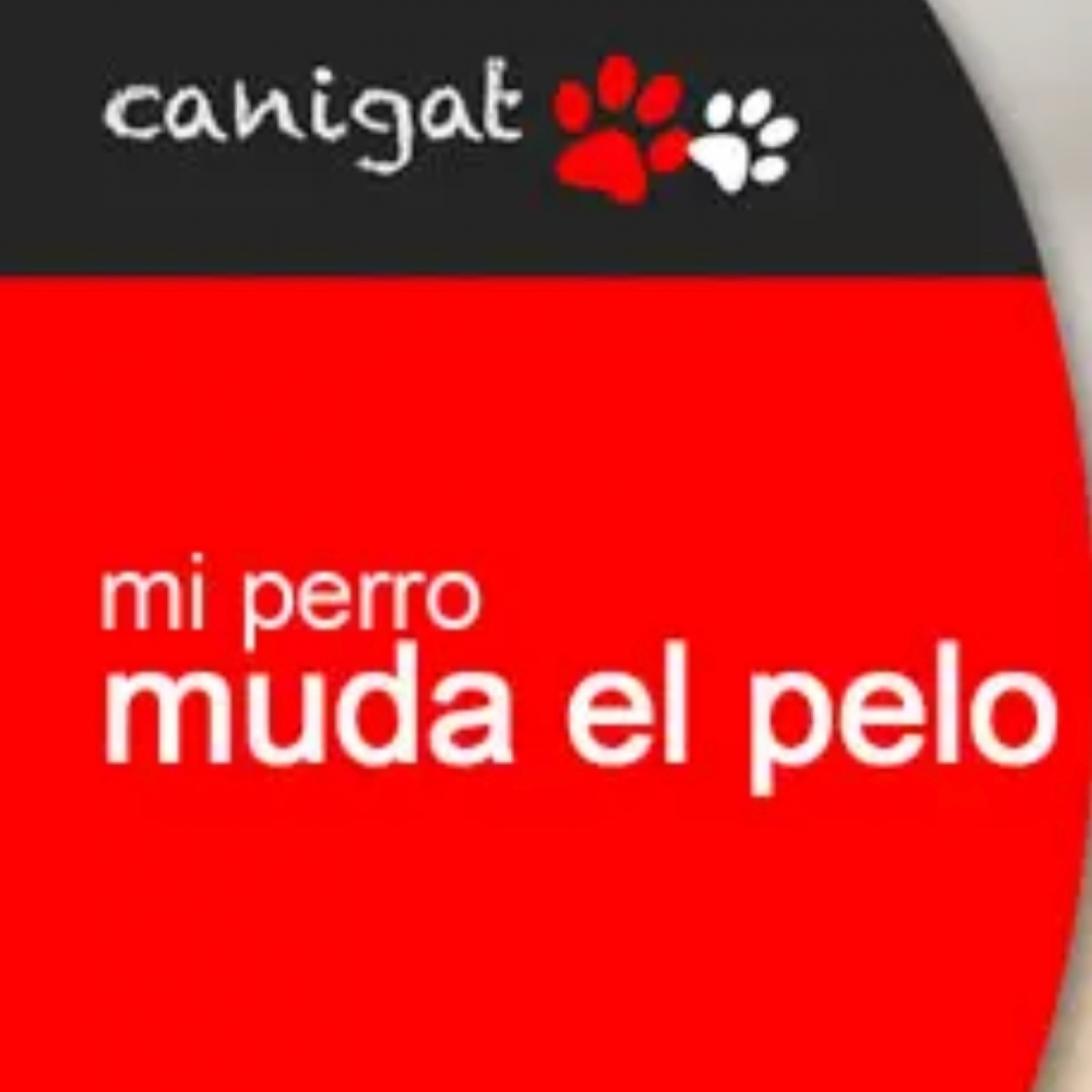 Consejos veterinarios de perros y gatos by canigat