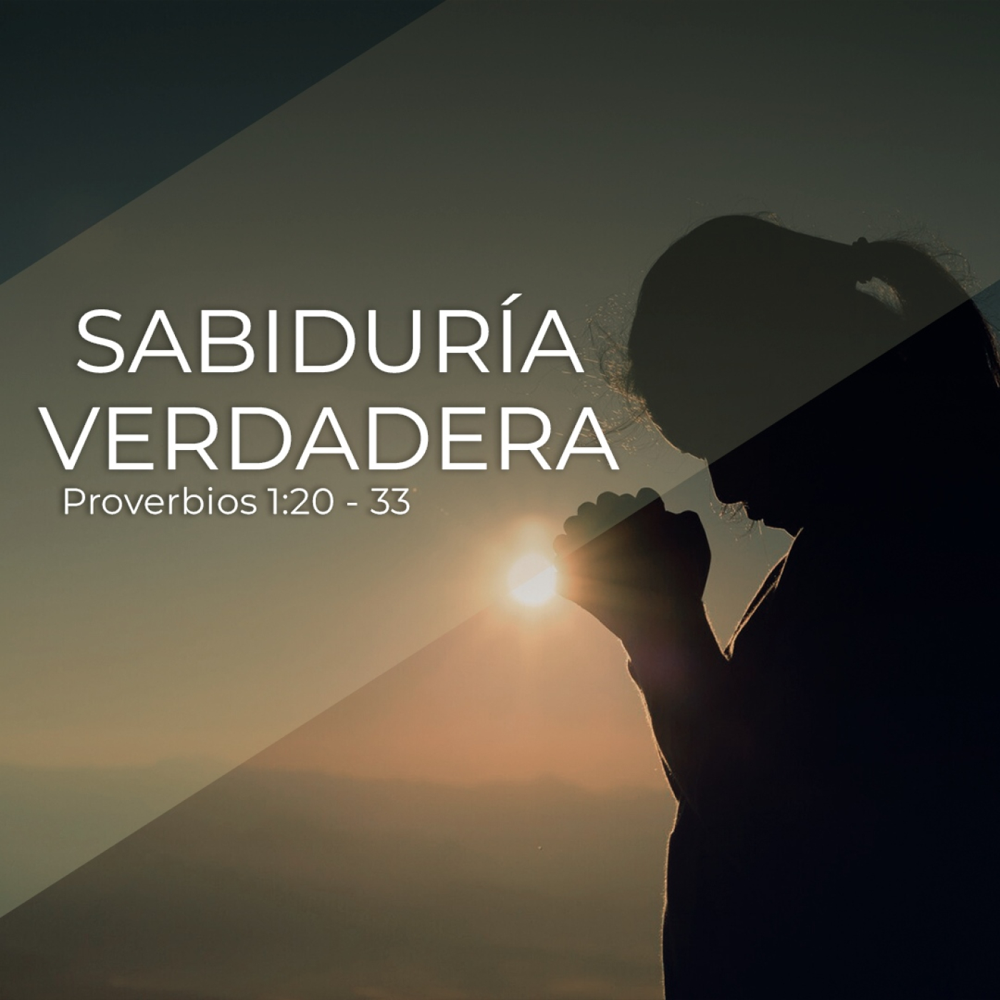 Prédicas