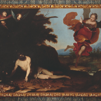 embed image