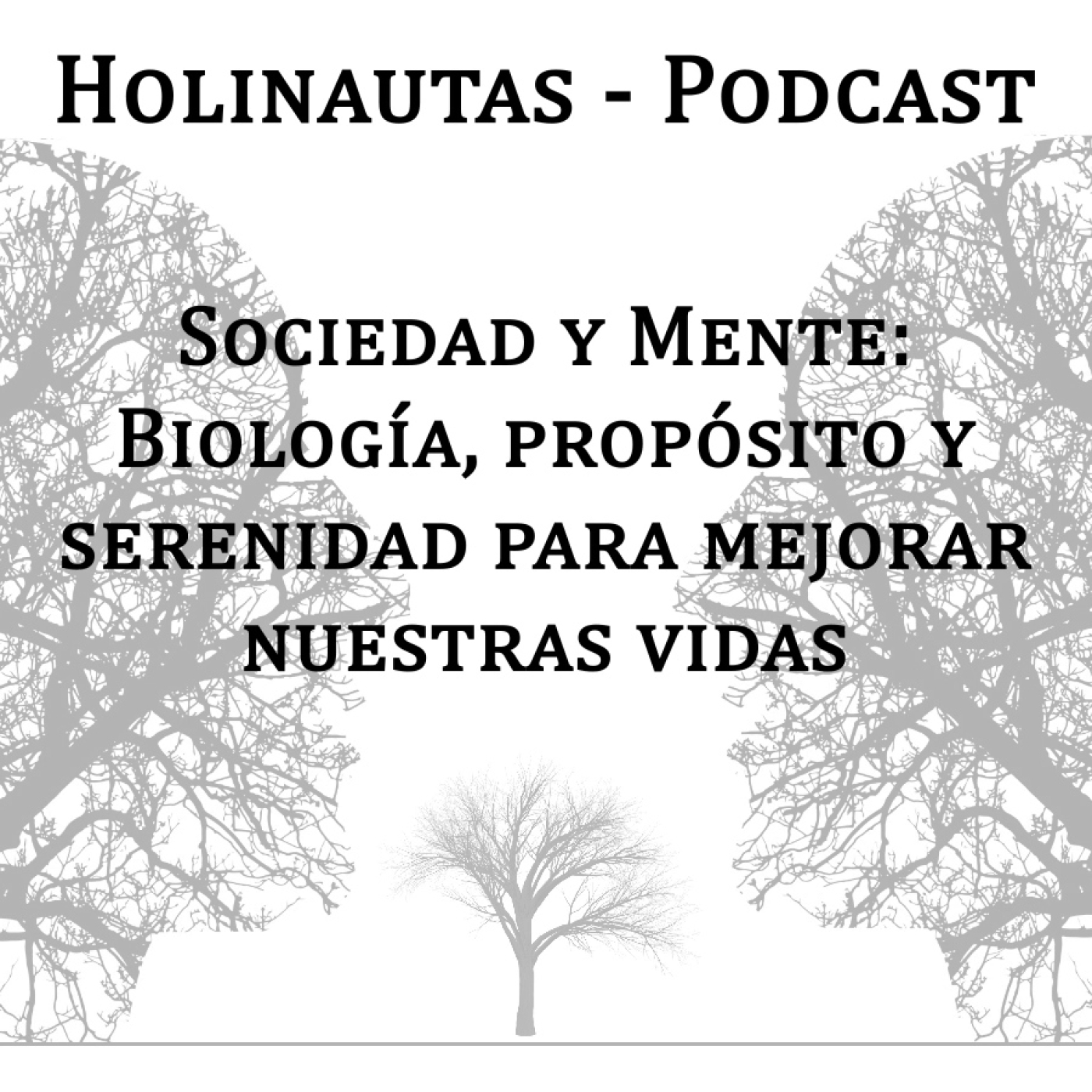 Holinautas