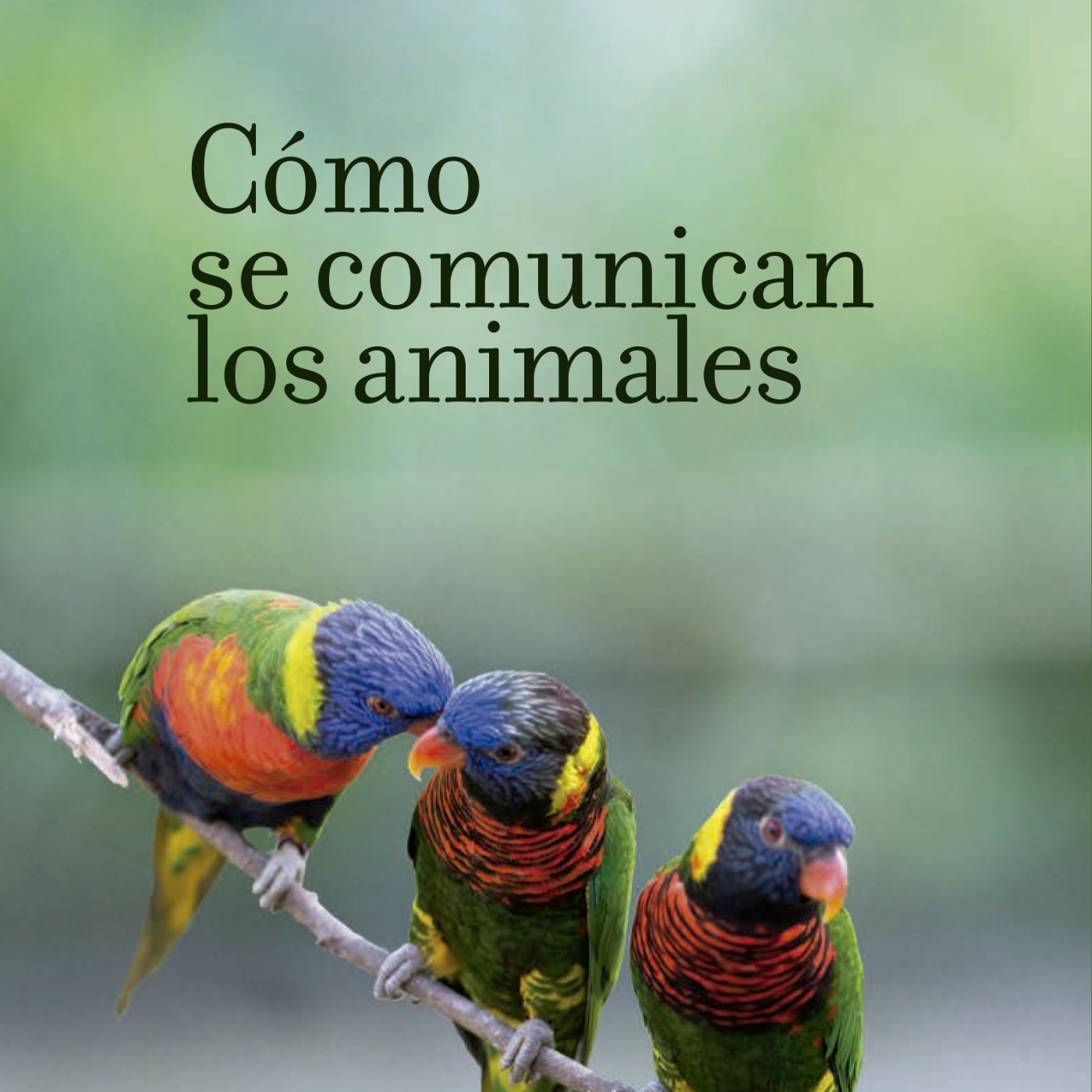 Ciencia para leer