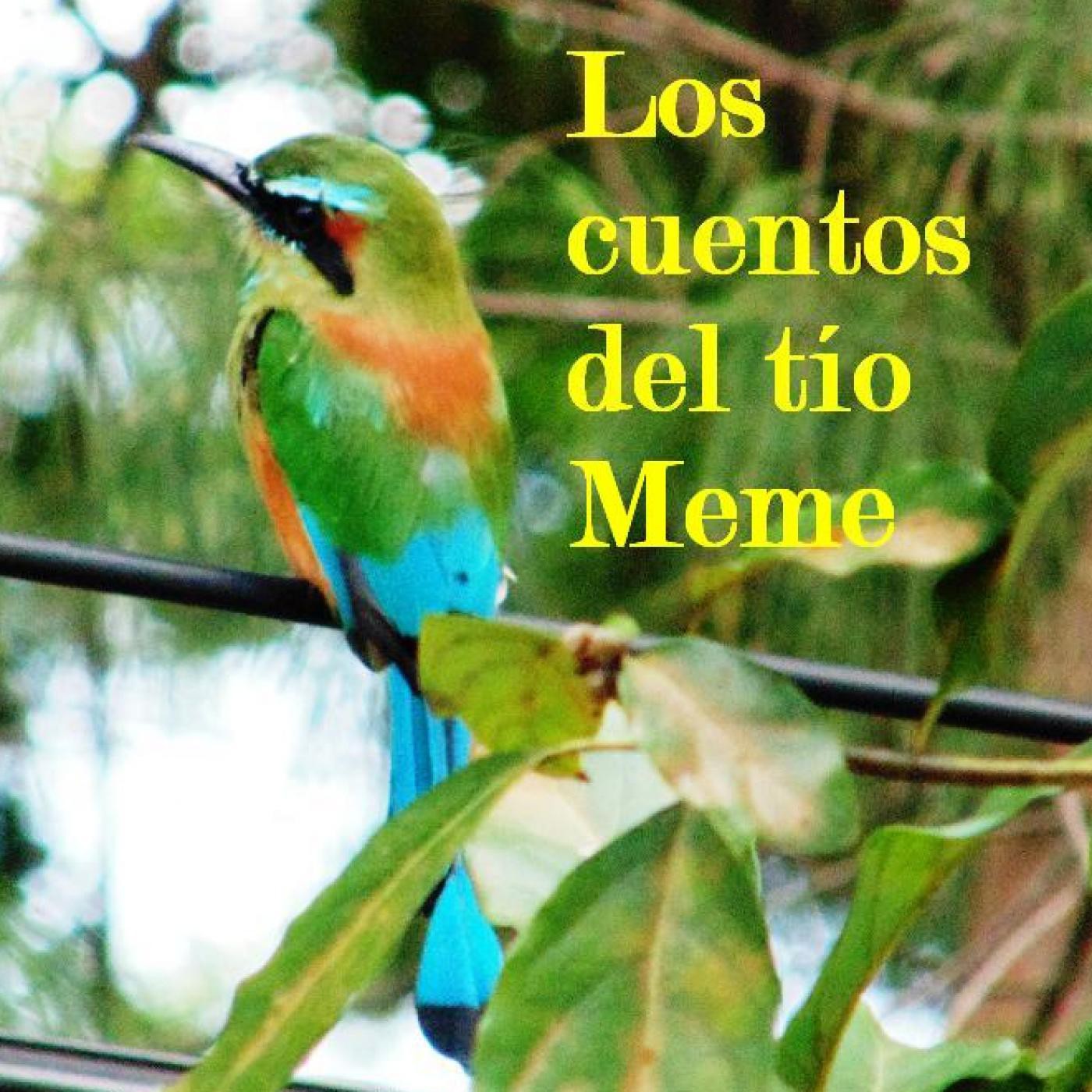 LOS CUENTOS DEL TÍO MEME