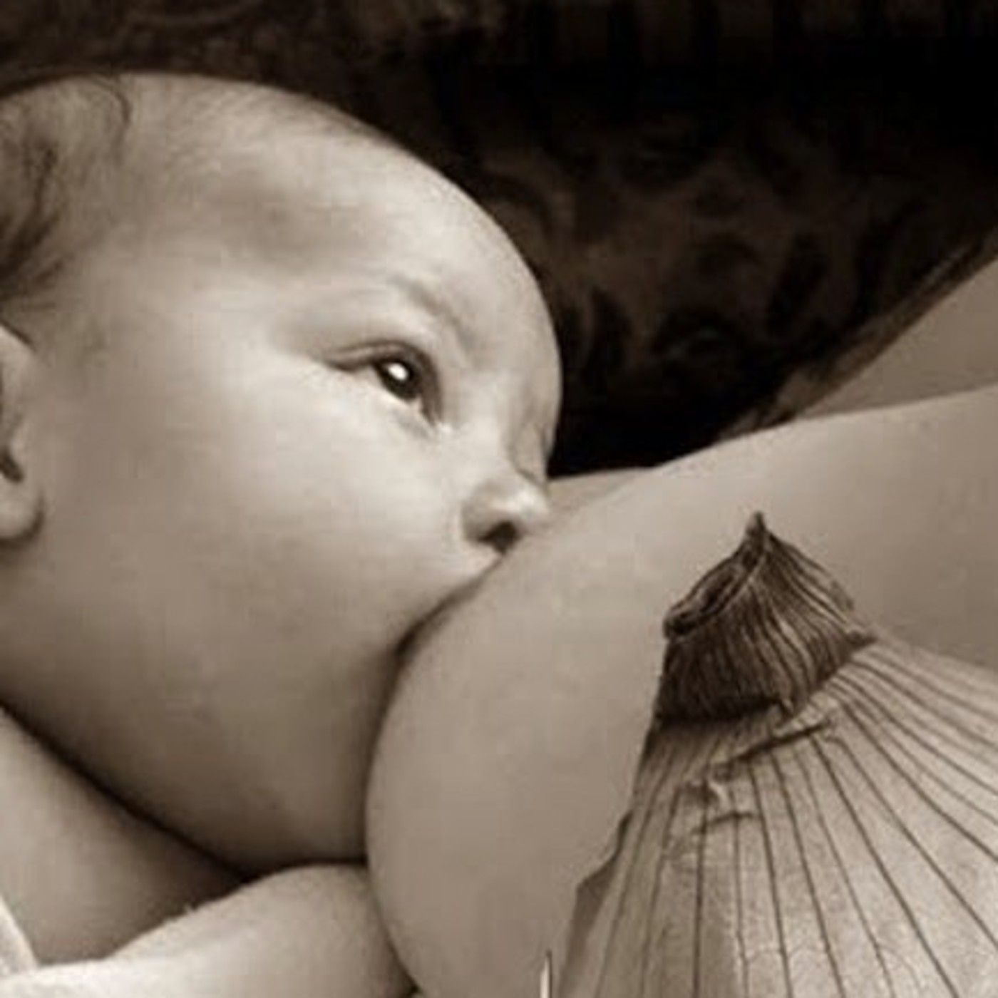Estella Noticias