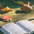 ENTREVISTA: Excusas para no creer