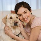 Como Preparar a tu Perro para recibir al Nuevo Bebe