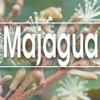 El Ángel de tu Salud - MAJAHUA II