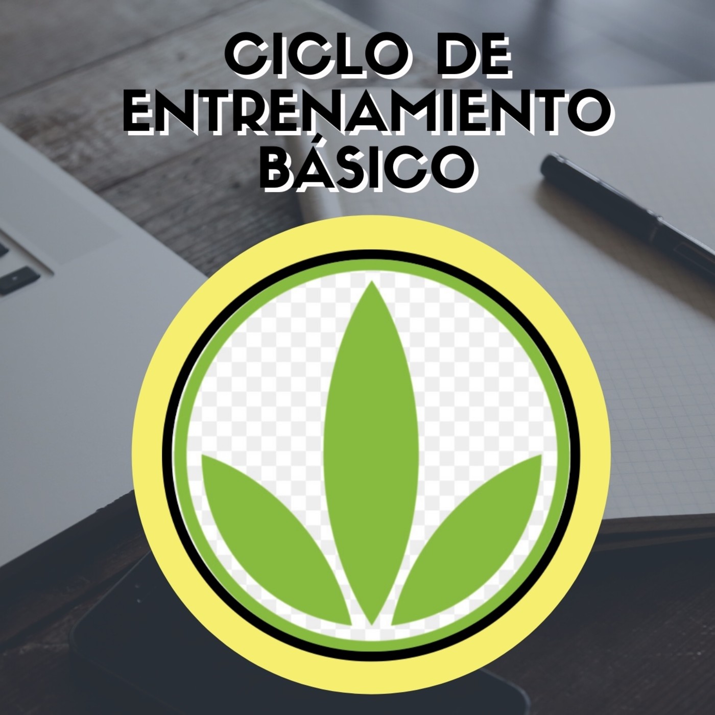 HBL DE LOS PROFESIONALES