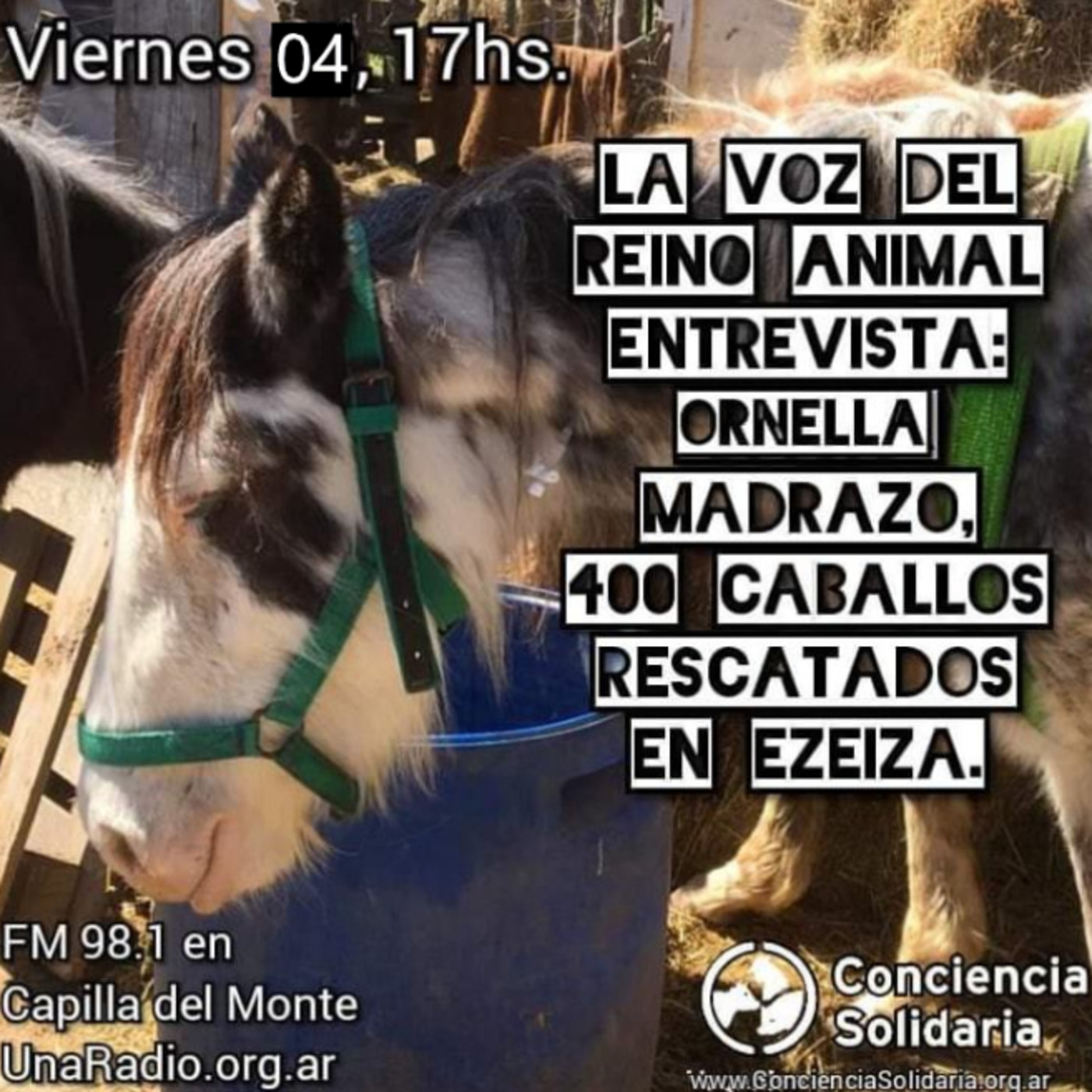 Extracto de #LaVozDelReinoAnimal 04.10.19 episode artwork