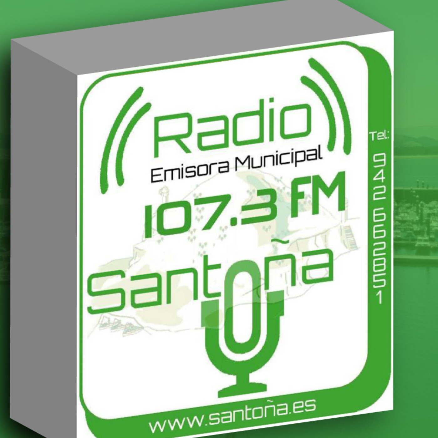 Pleno del Ayuntamiento de Santoña