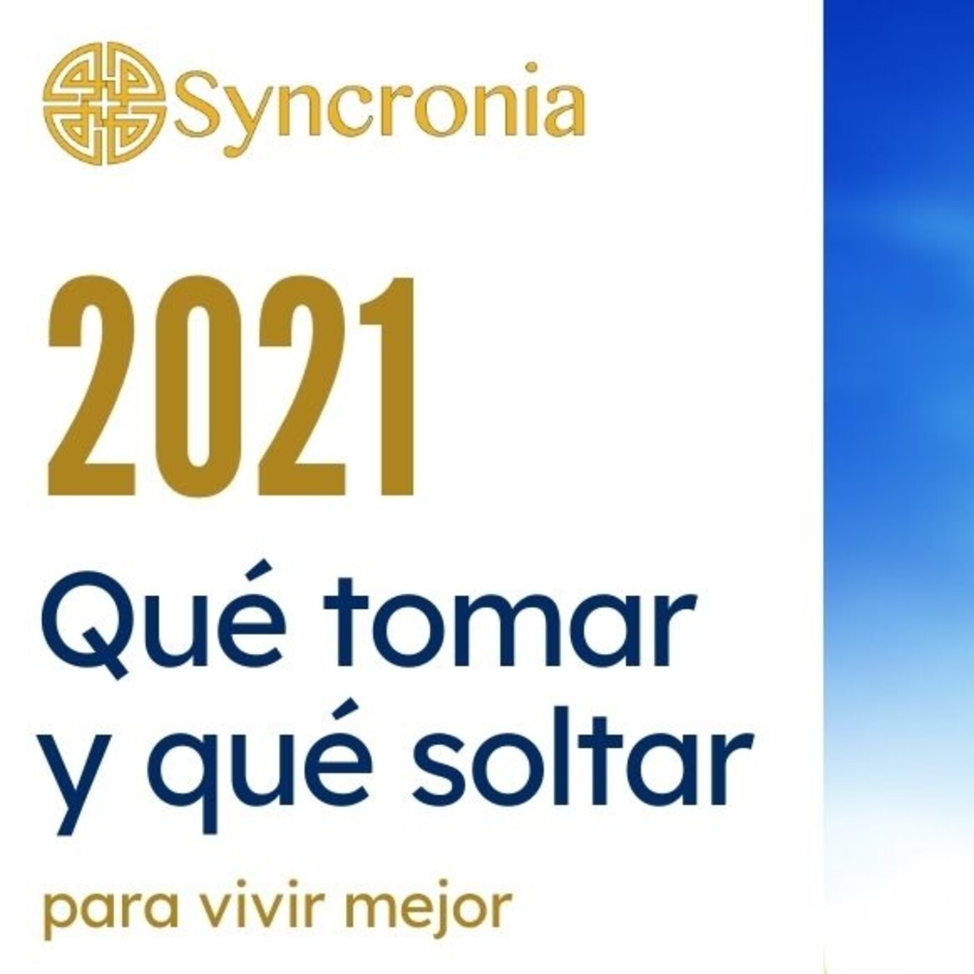 Charlas Syncronia