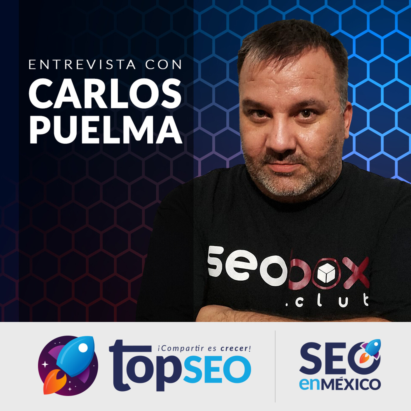 TOP SEO