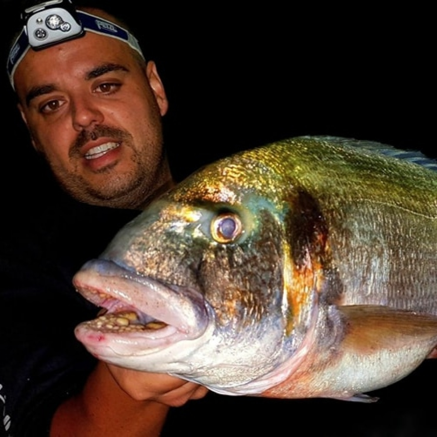 Rio de la Vida pesca