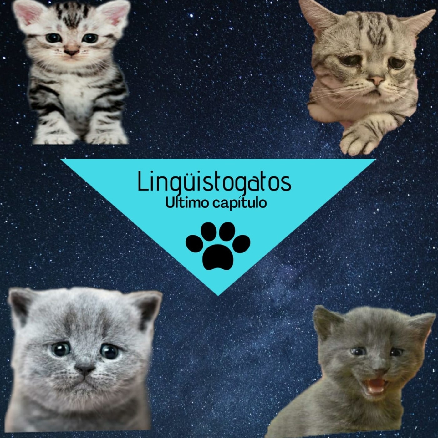 Los Linguistogatos