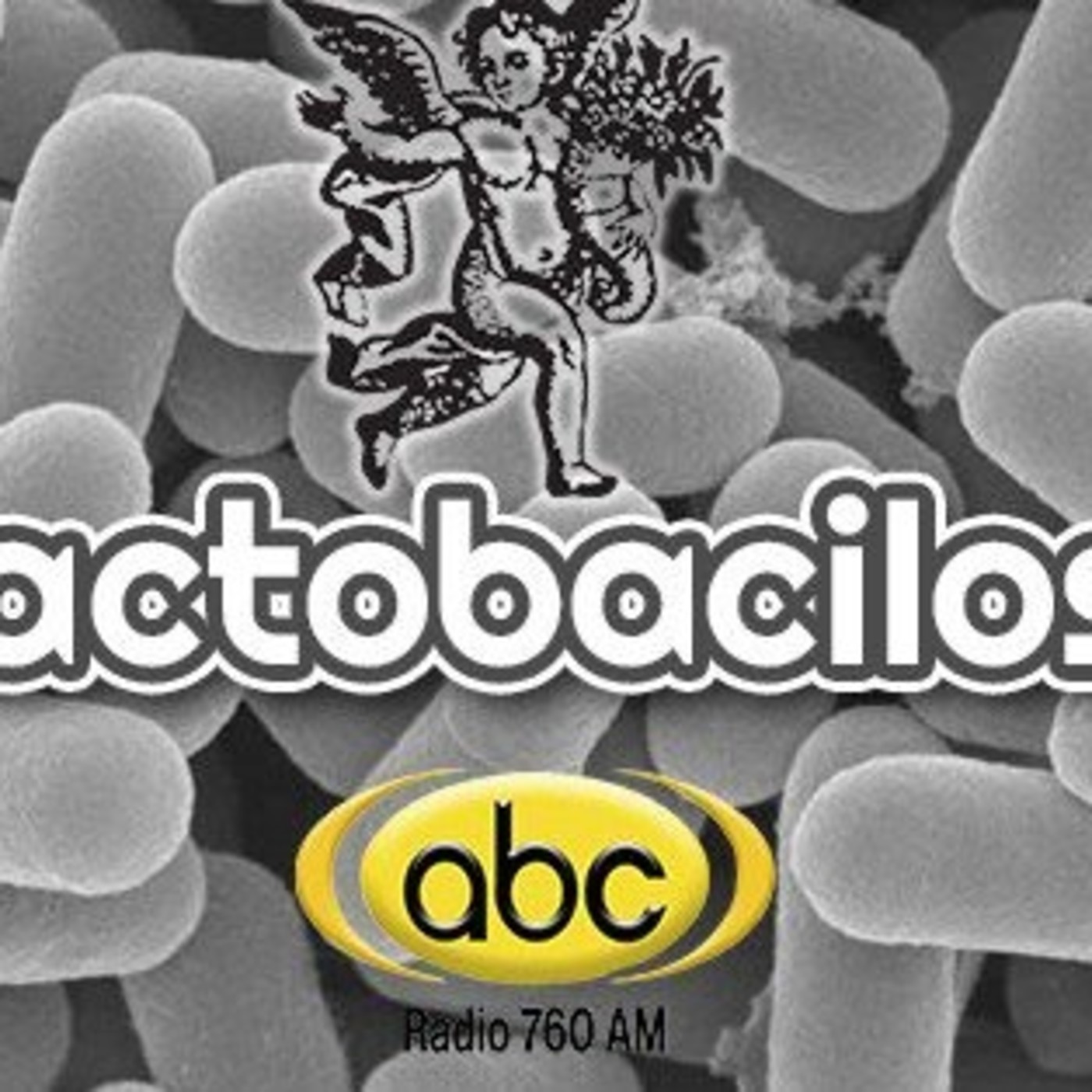 El Angel de tu Salud - LACTOBACILOS