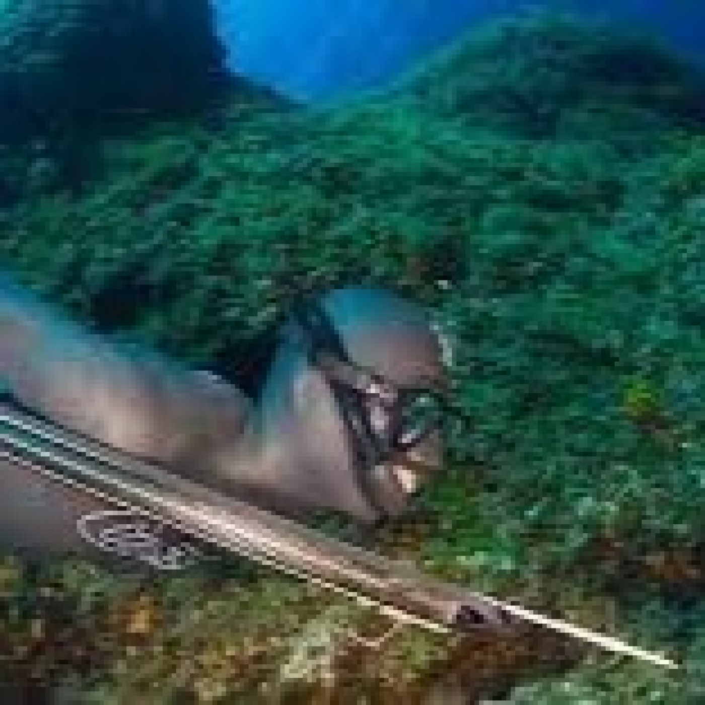 Rio de la Vida pesca