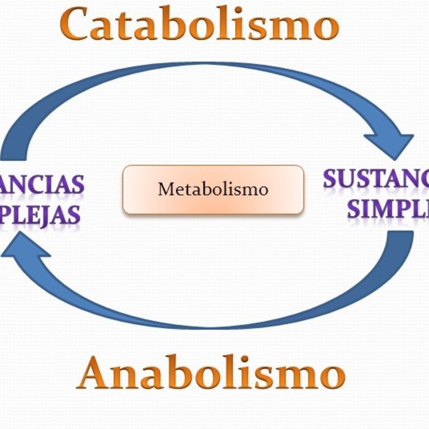Como no cuestionario de adherencia a la dieta mediterránea