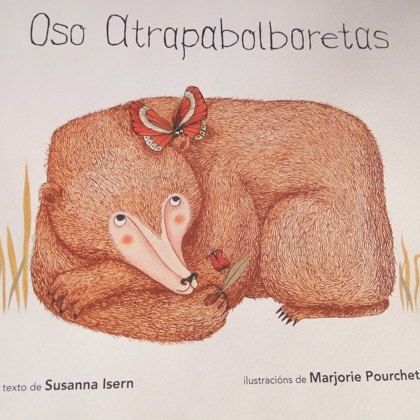 Oso atrapa bolboretas (conto en galego)