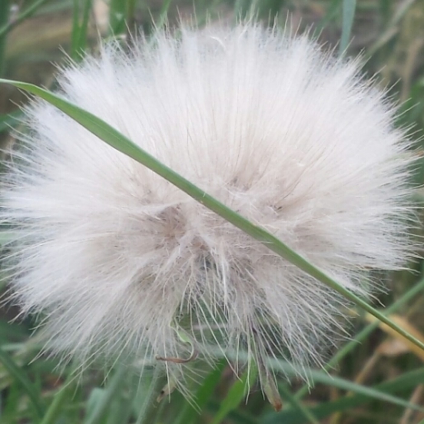 Nuestra Mente es Maravillosa