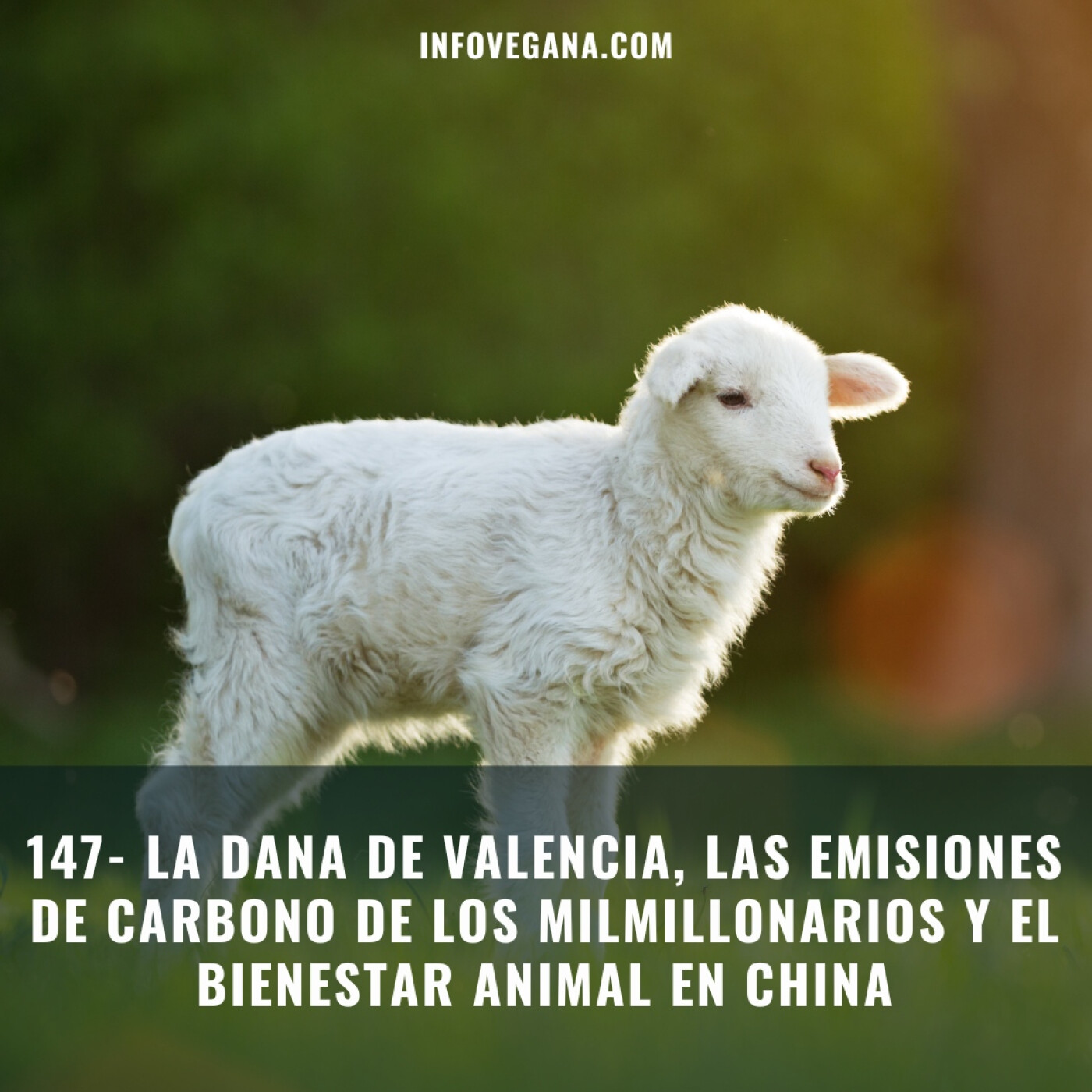 Infovegana, podcast de veganismo y sostenibilidad