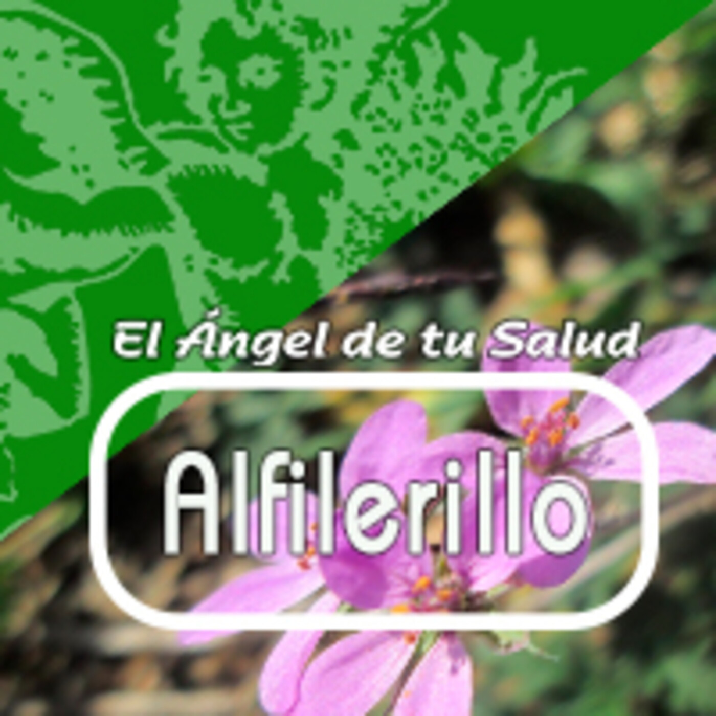 El Ángel de tu Salud - ALFILERILLO*