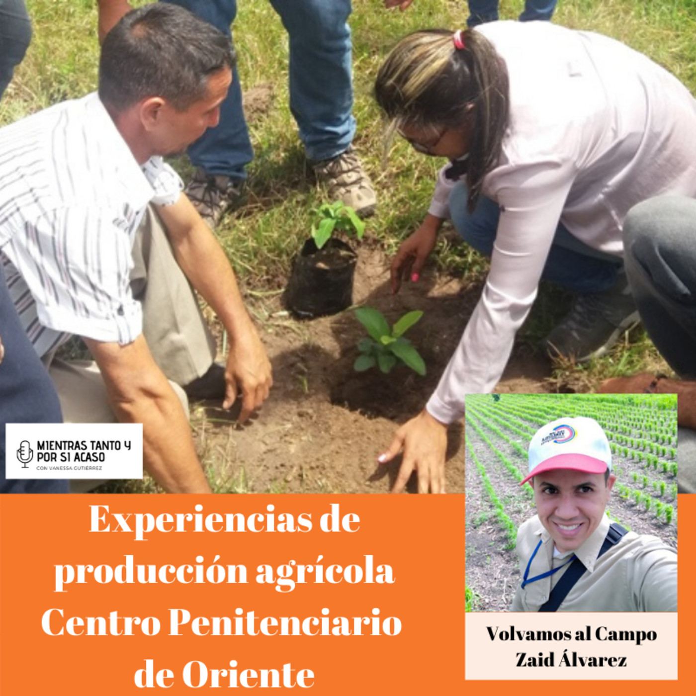 Columna Volvamos al Campo