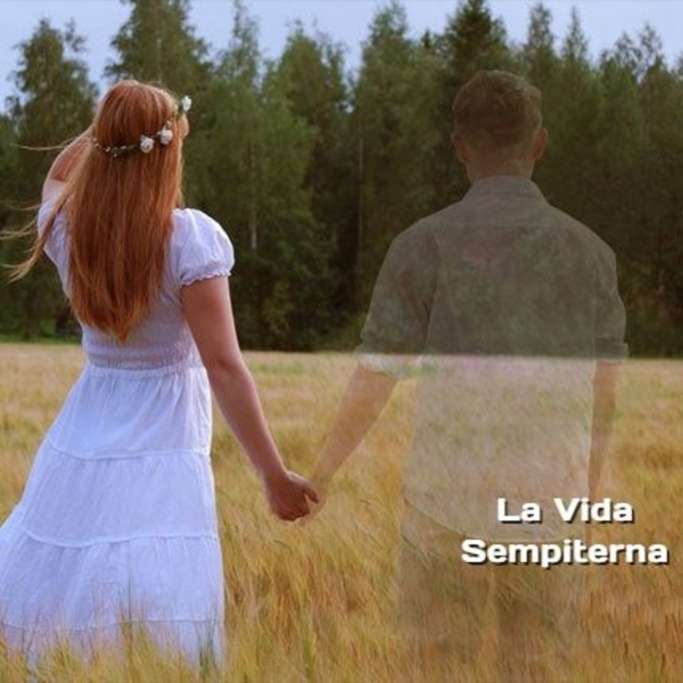 5 SERES ESPIRITUALES VISITAN LA TIERRA