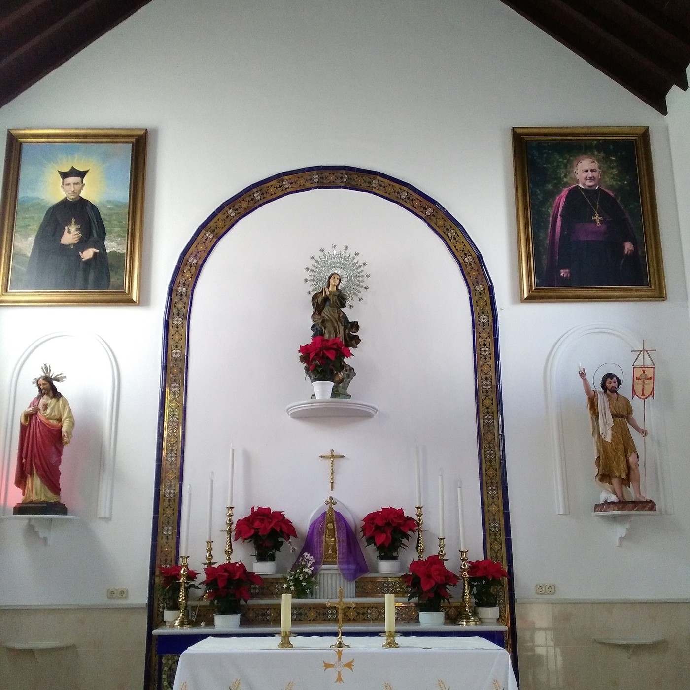 Venerable Siervo de Dios, P. Tiburcio Arnaiz, SJ