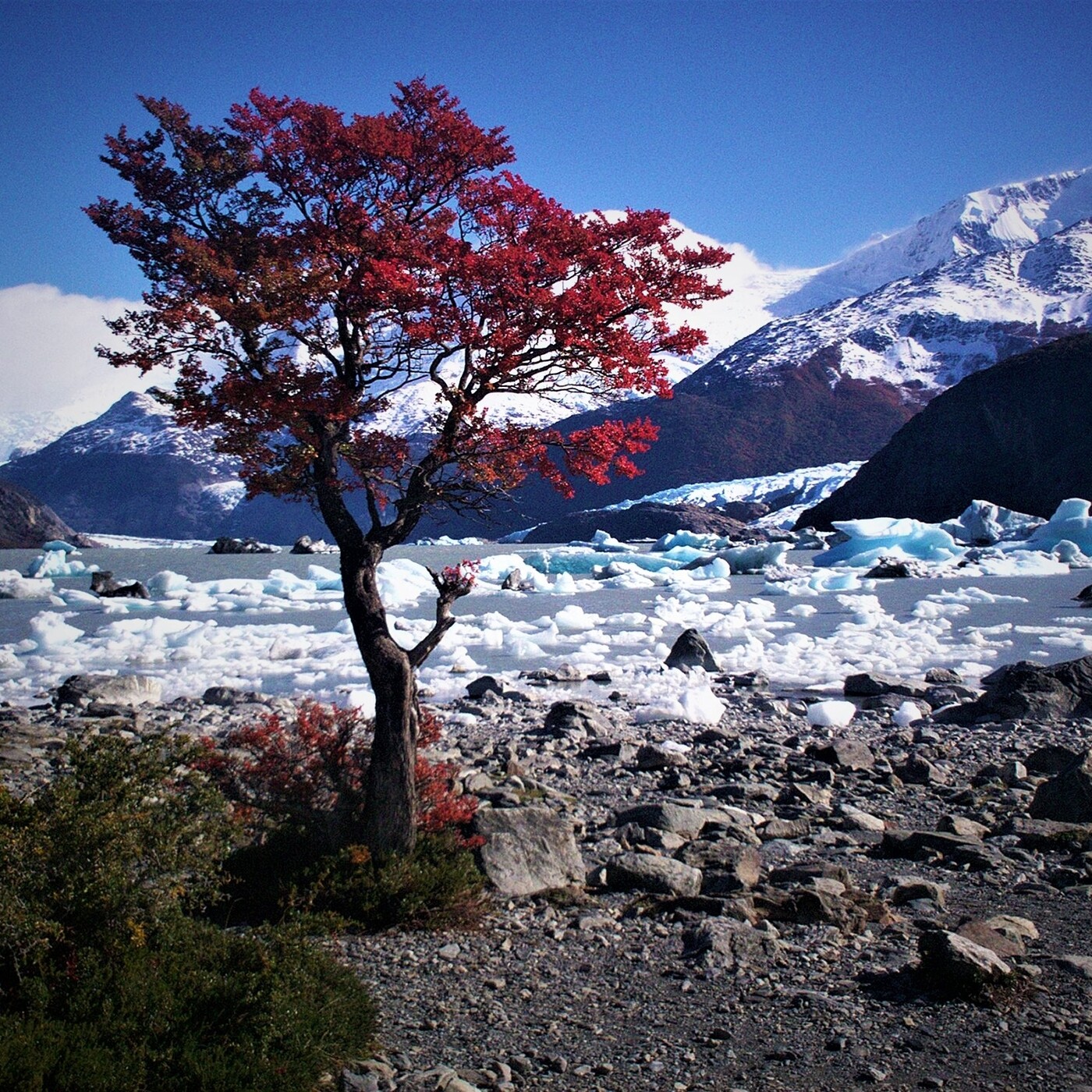 Viajando desde el sur