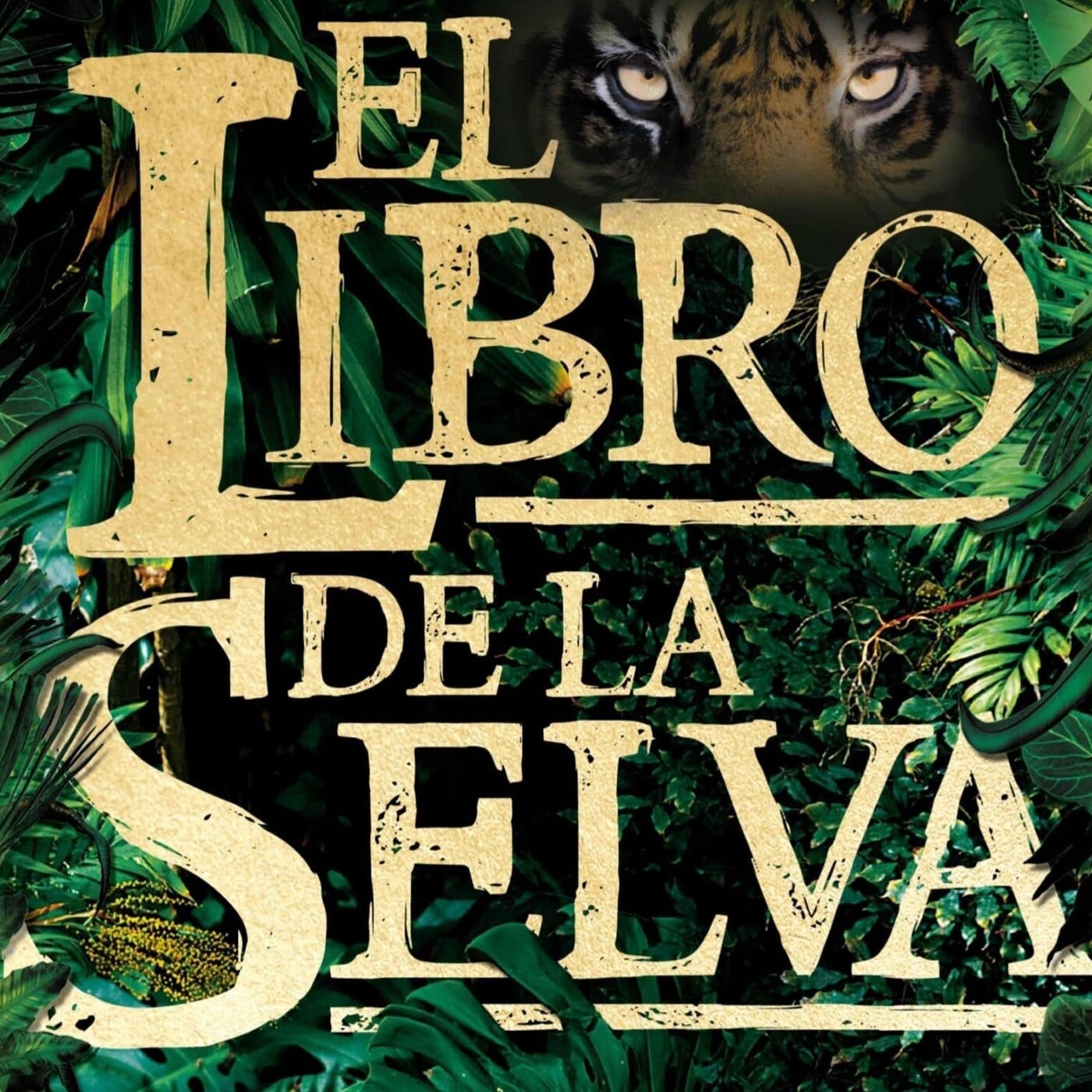 Biblio Algarrobo