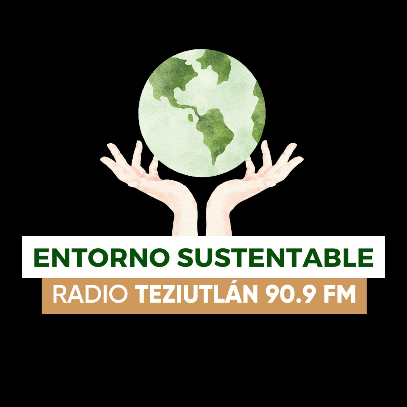Entorno Sustentable Regional - Producción de bambú y construcción sustentable