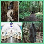 El metro de Moscú, El Bosque de los suicidios, La Molécula de Dios, y el edificio Windsor...
