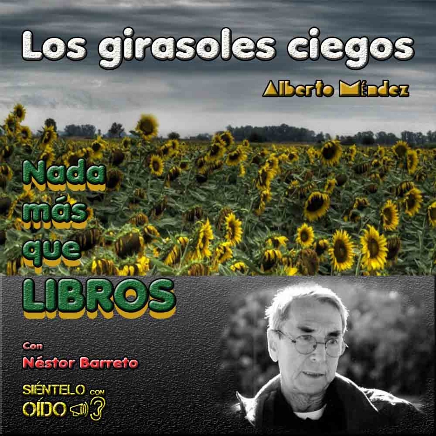 NADA MÁS QUE LIBROS