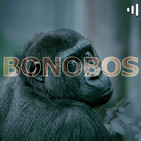 Bonobos: Recordando a Leonard Cohen