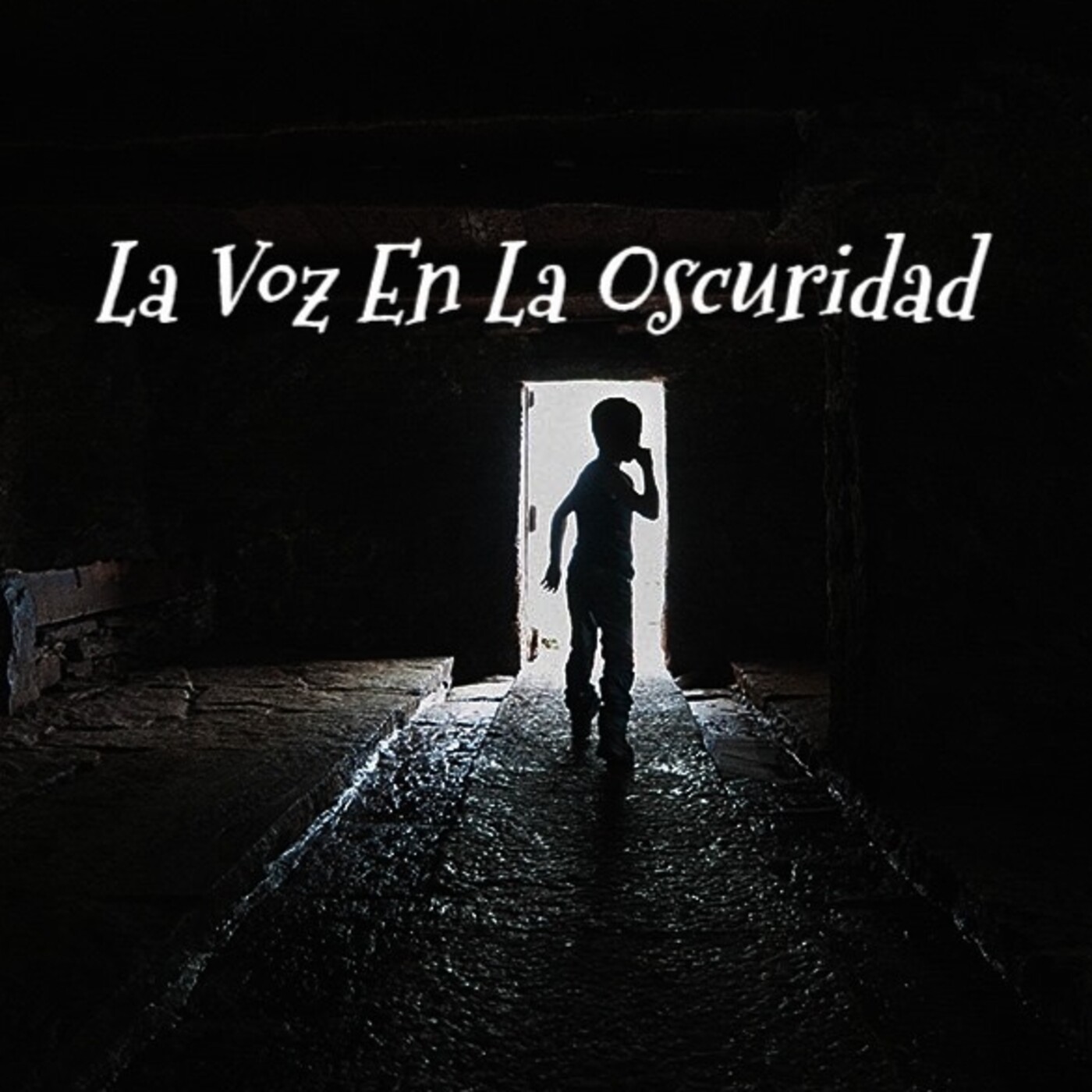 La Voz en la Oscuridad