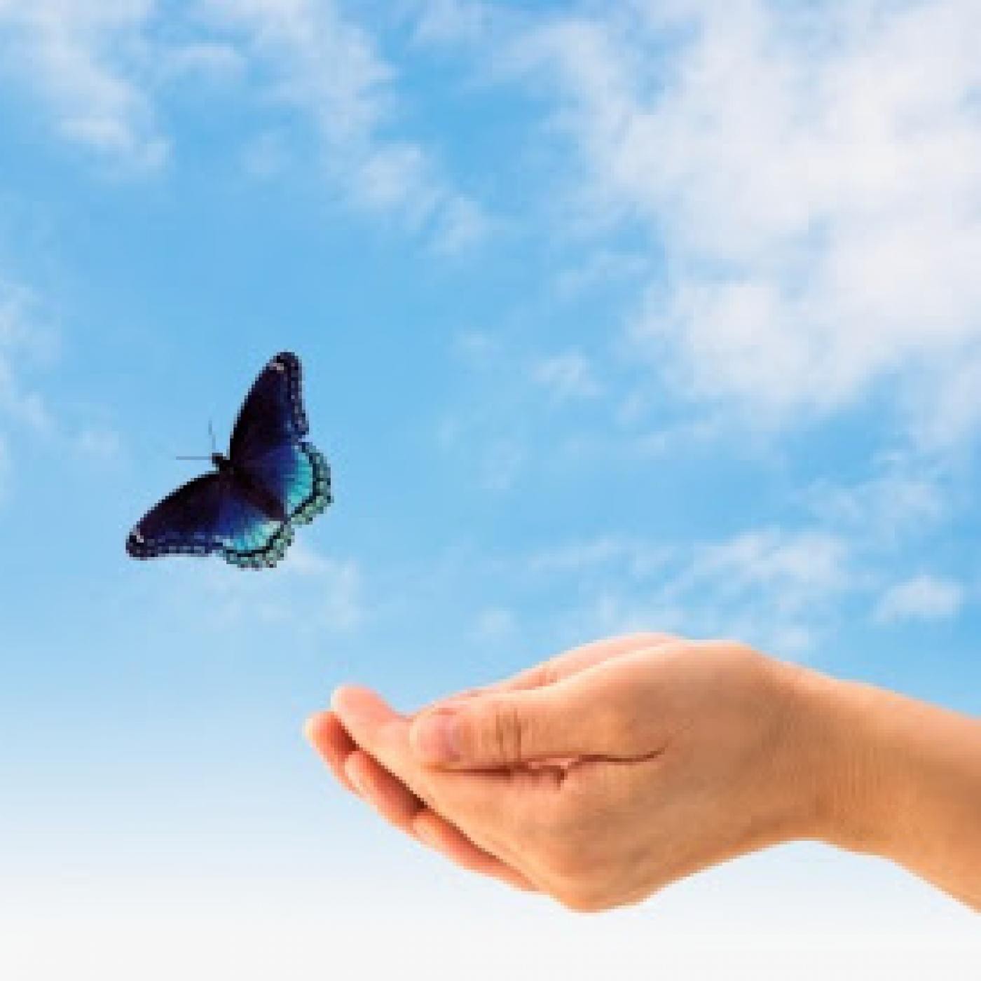 Podcast En busca de la paz interior podcast